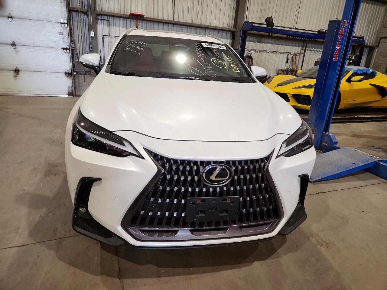 2024 Lexus Nx 350 Premium - zdjęcie 5