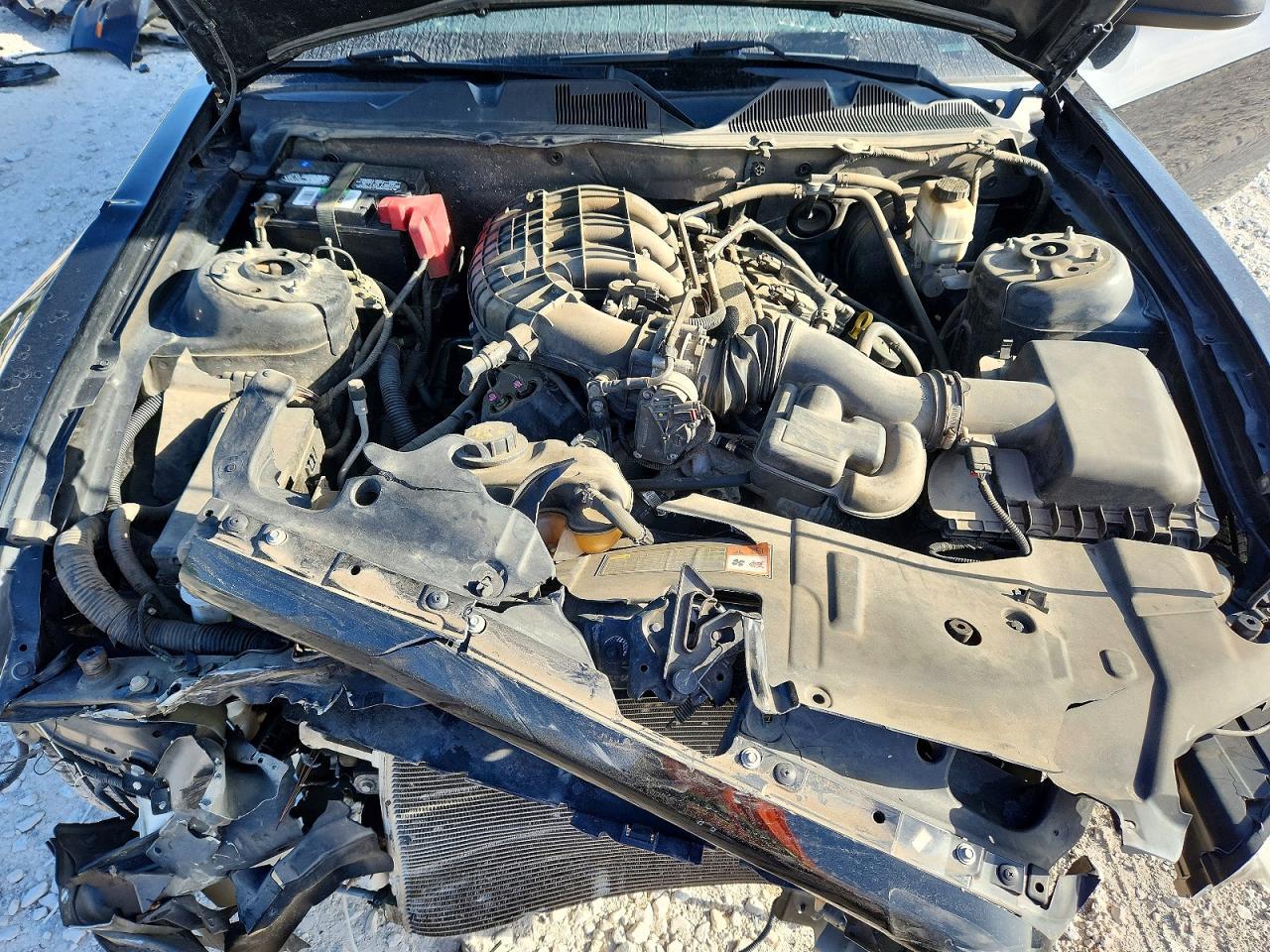 2014 Ford Mustang - zdjęcie 11