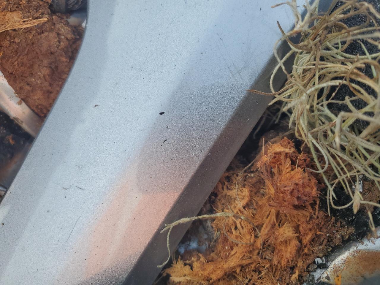 2017 Jeep Grand Cherokee Laredo - zdjęcie 4