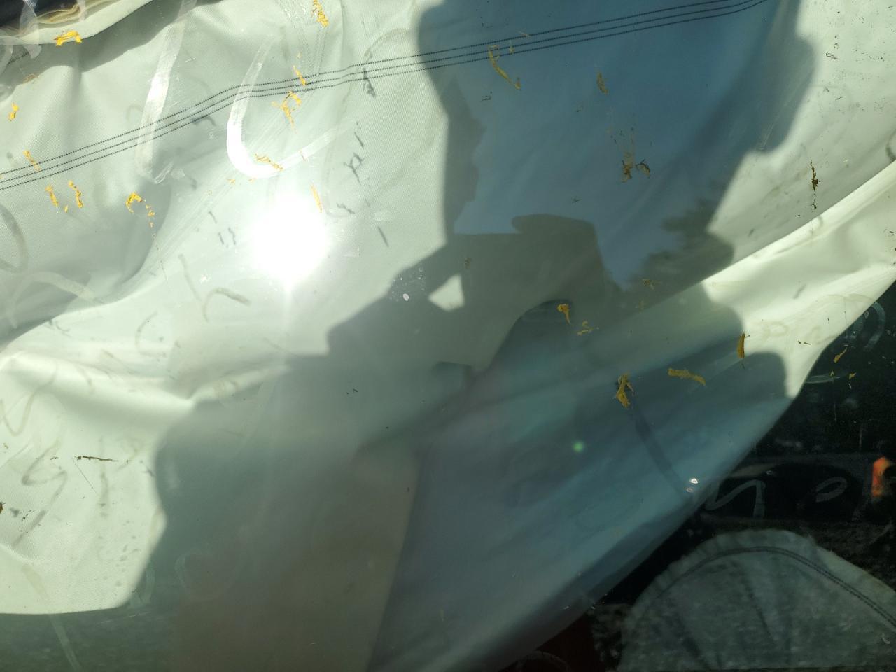 2024 Honda CR-V - zdjęcie 7