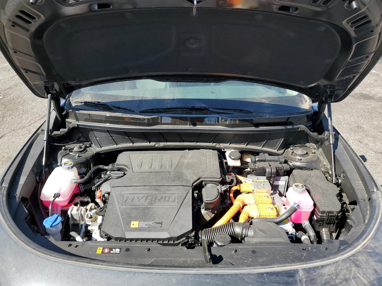 2025 Kia Niro - zdjęcie 12