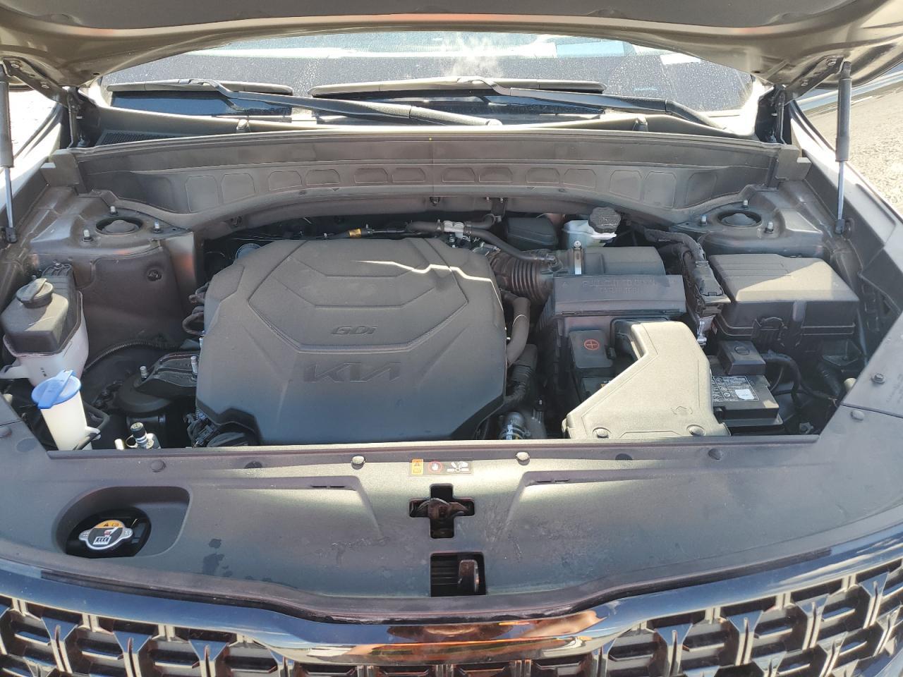 2024 Kia Telluride - zdjęcie 12