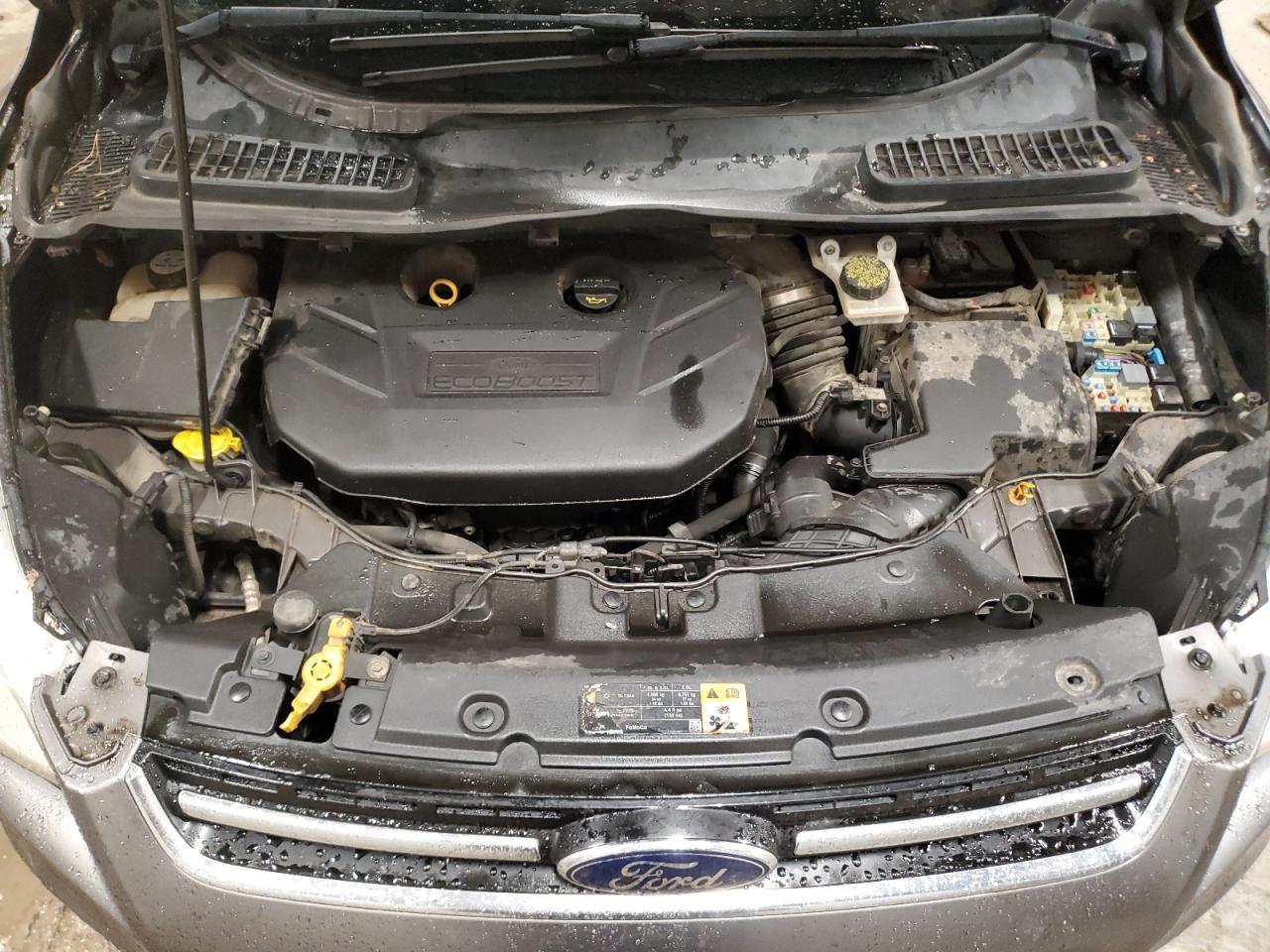 2013 Ford Escape Sel - zdjęcie 12