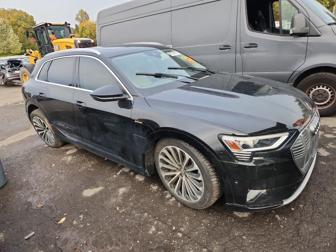 2019 Audi E-Tron Prestige - zdjęcie 4