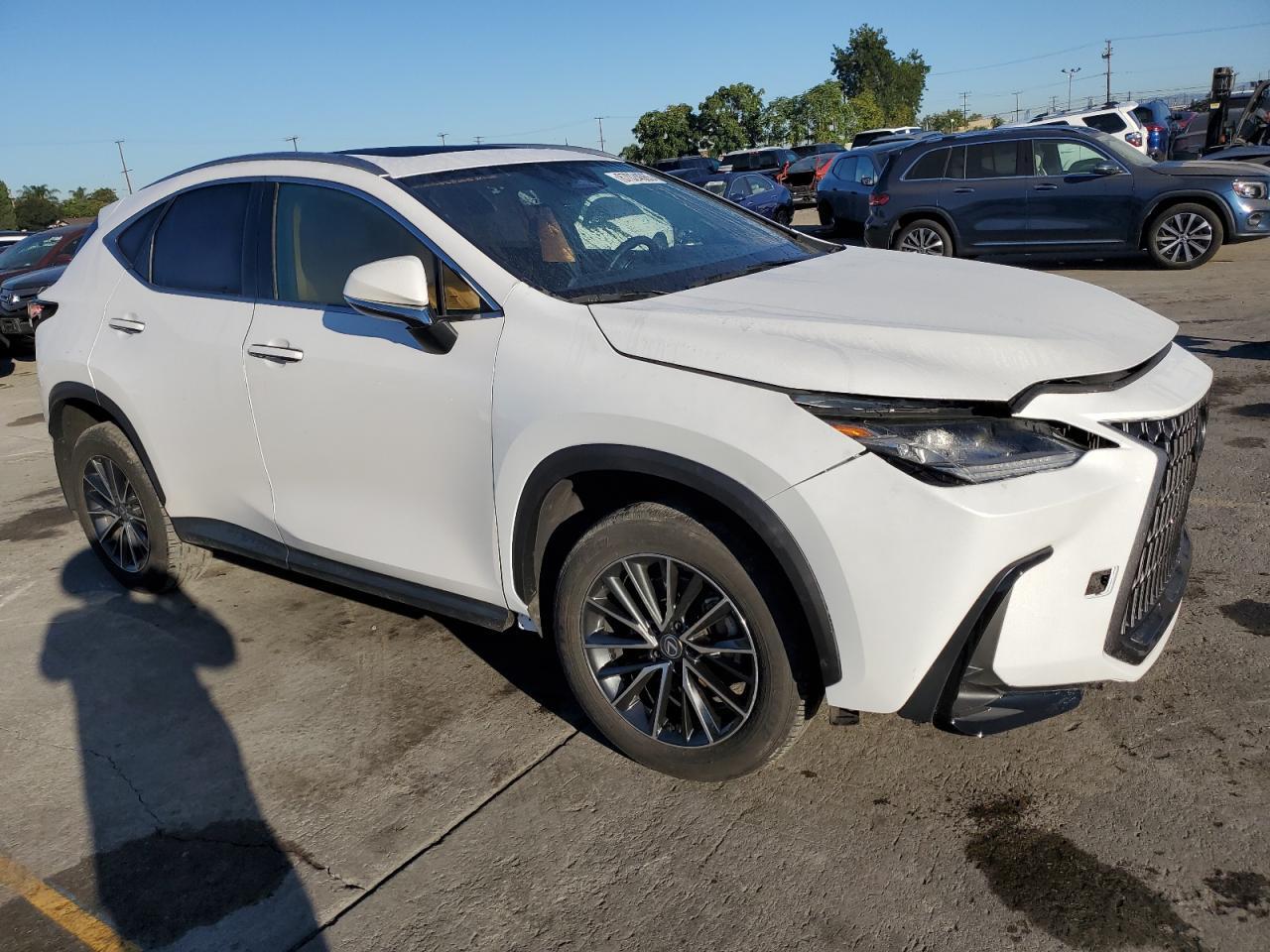 2024 Lexus Nx 250 Base - zdjęcie 4