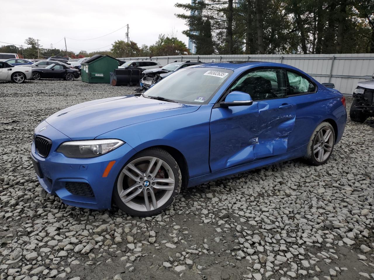 2015 BMW 228 Xi Sulev - zdjęcie główne