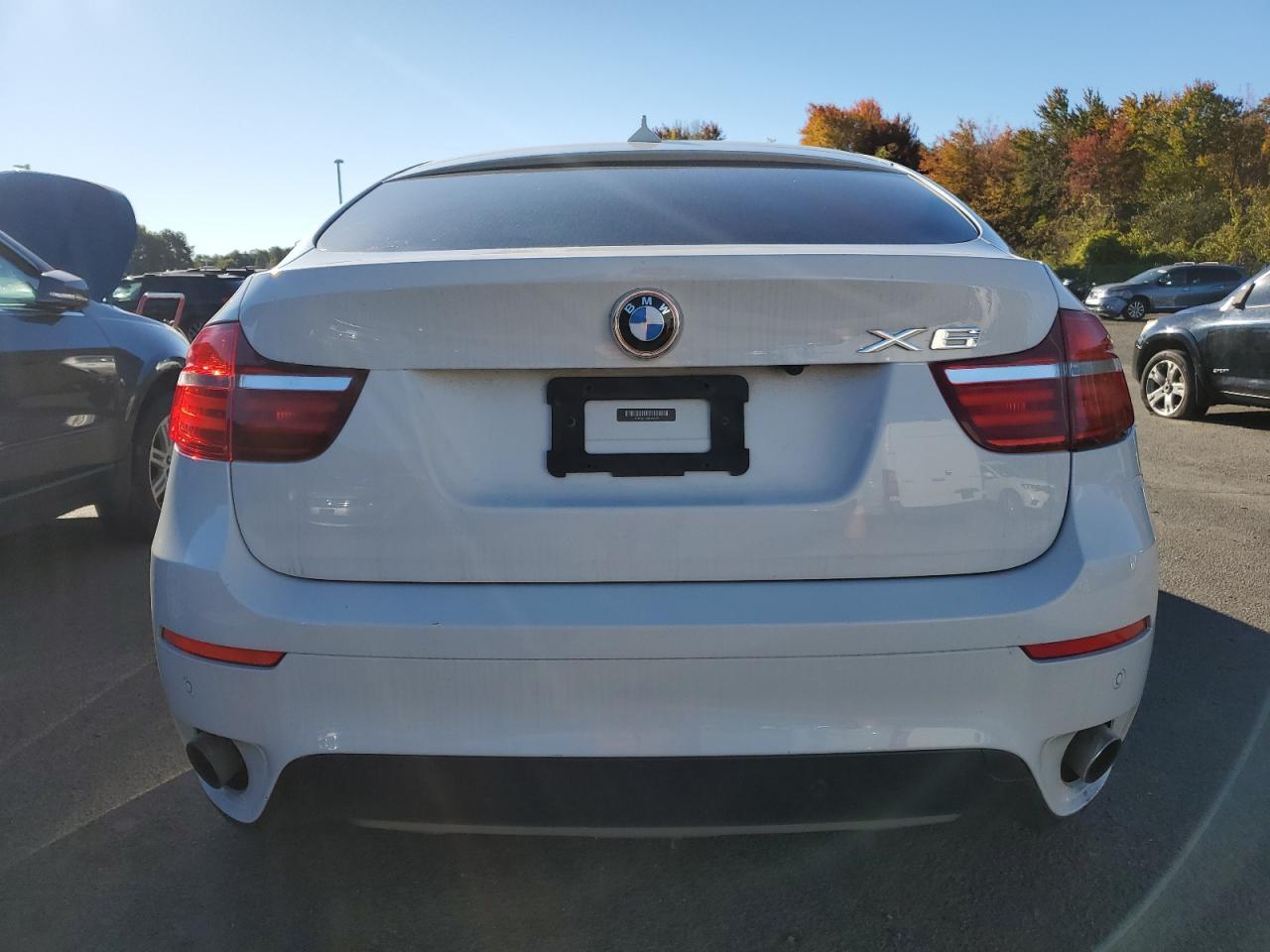 2013 BMW X6 xDrive35I - zdjęcie 6