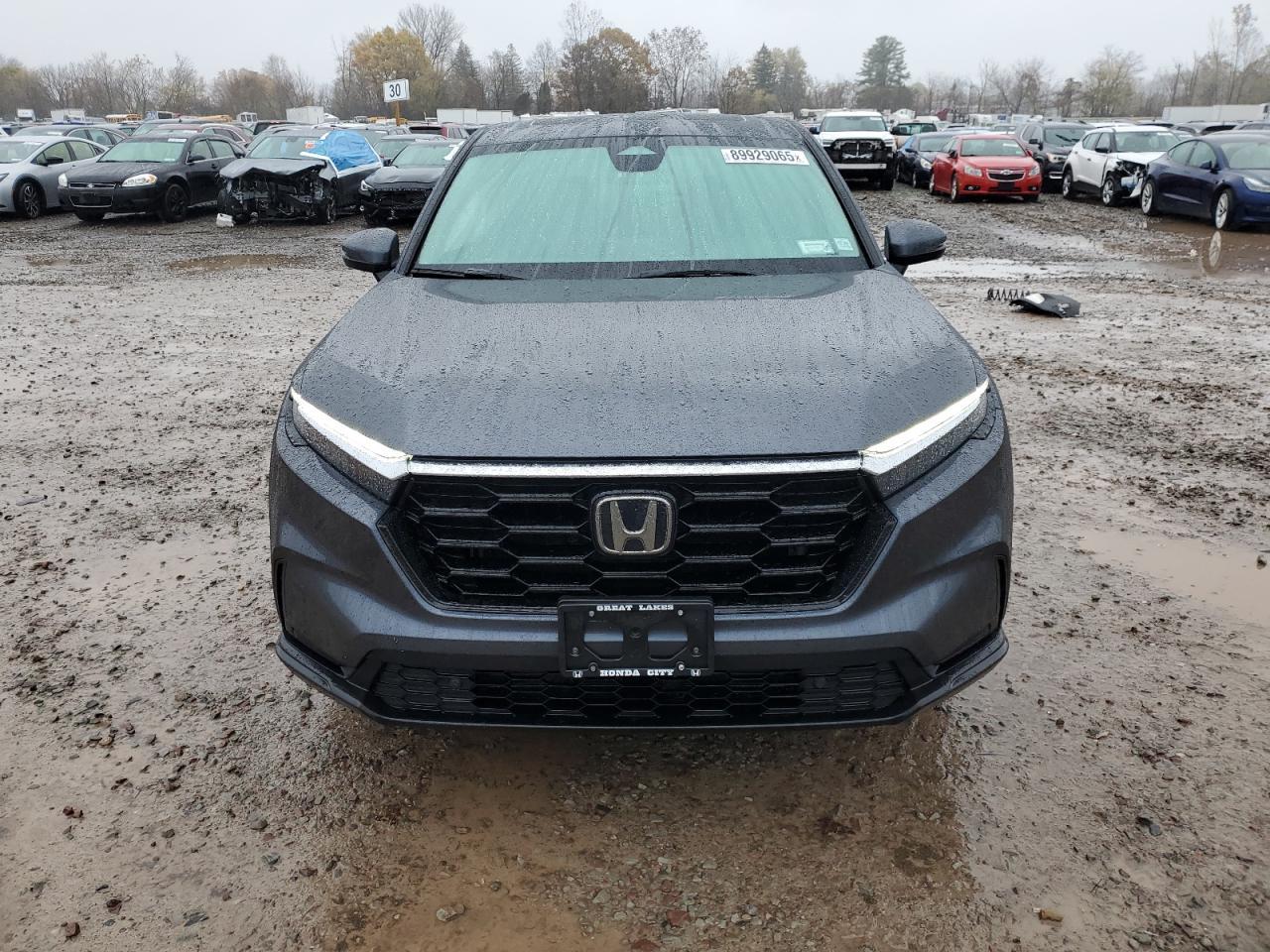 2025 Honda CR-V - zdjęcie 5