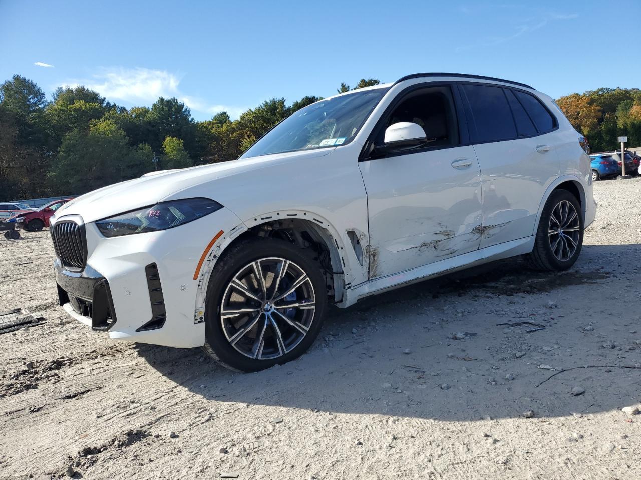 2024 BMW X5 - zdjęcie główne