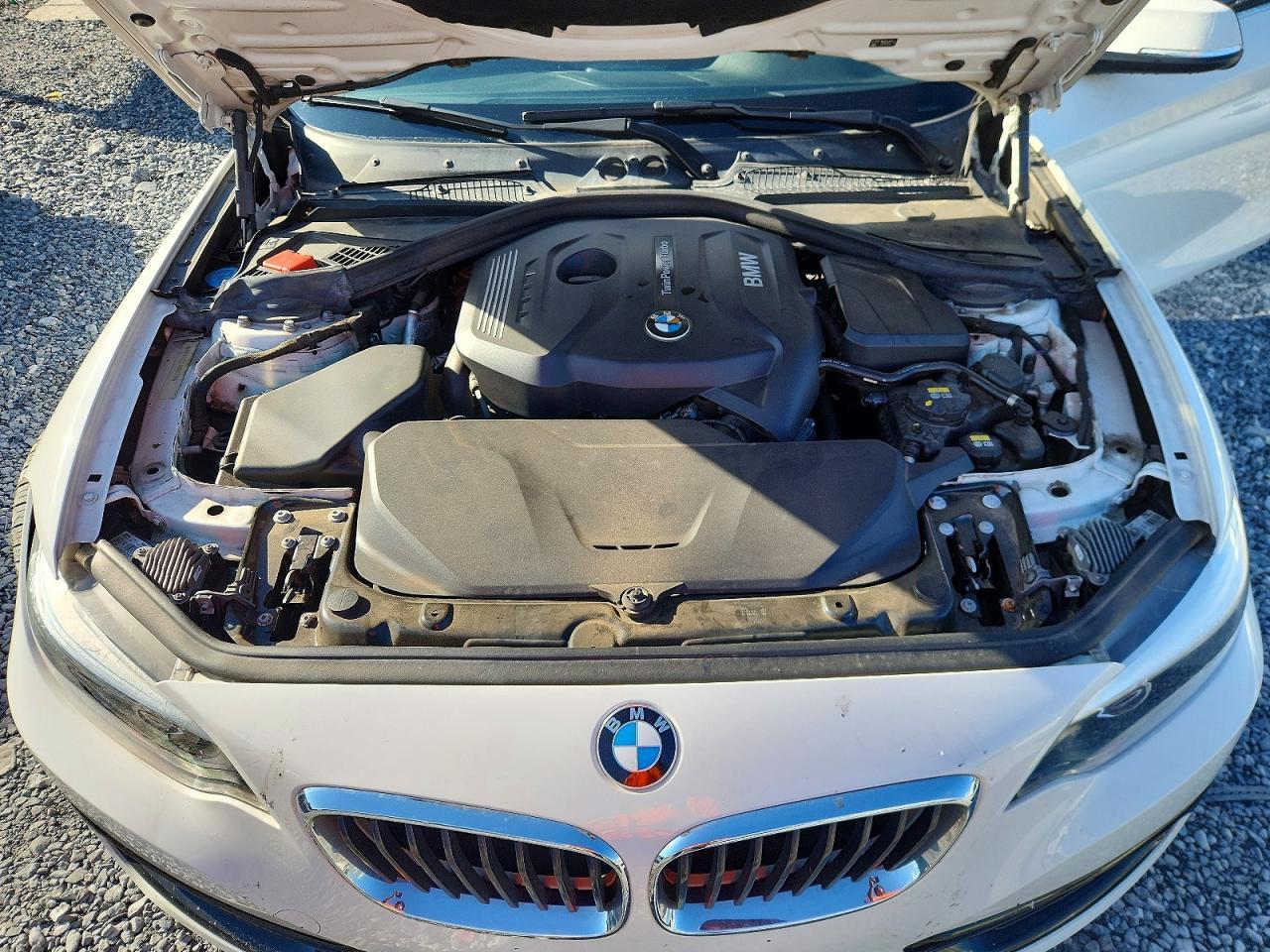 2018 BMW Seria 2 Coupe 230i - zdjęcie 11