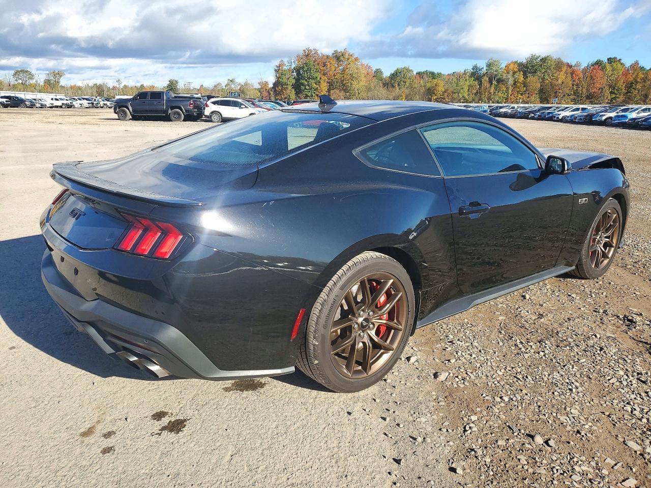 2024 Ford Mustang Gt - zdjęcie 3