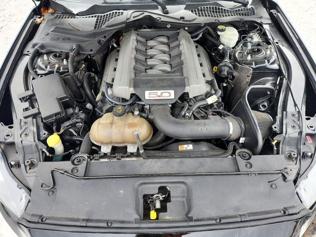 2015 Ford Mustang Gt - zdjęcie 11