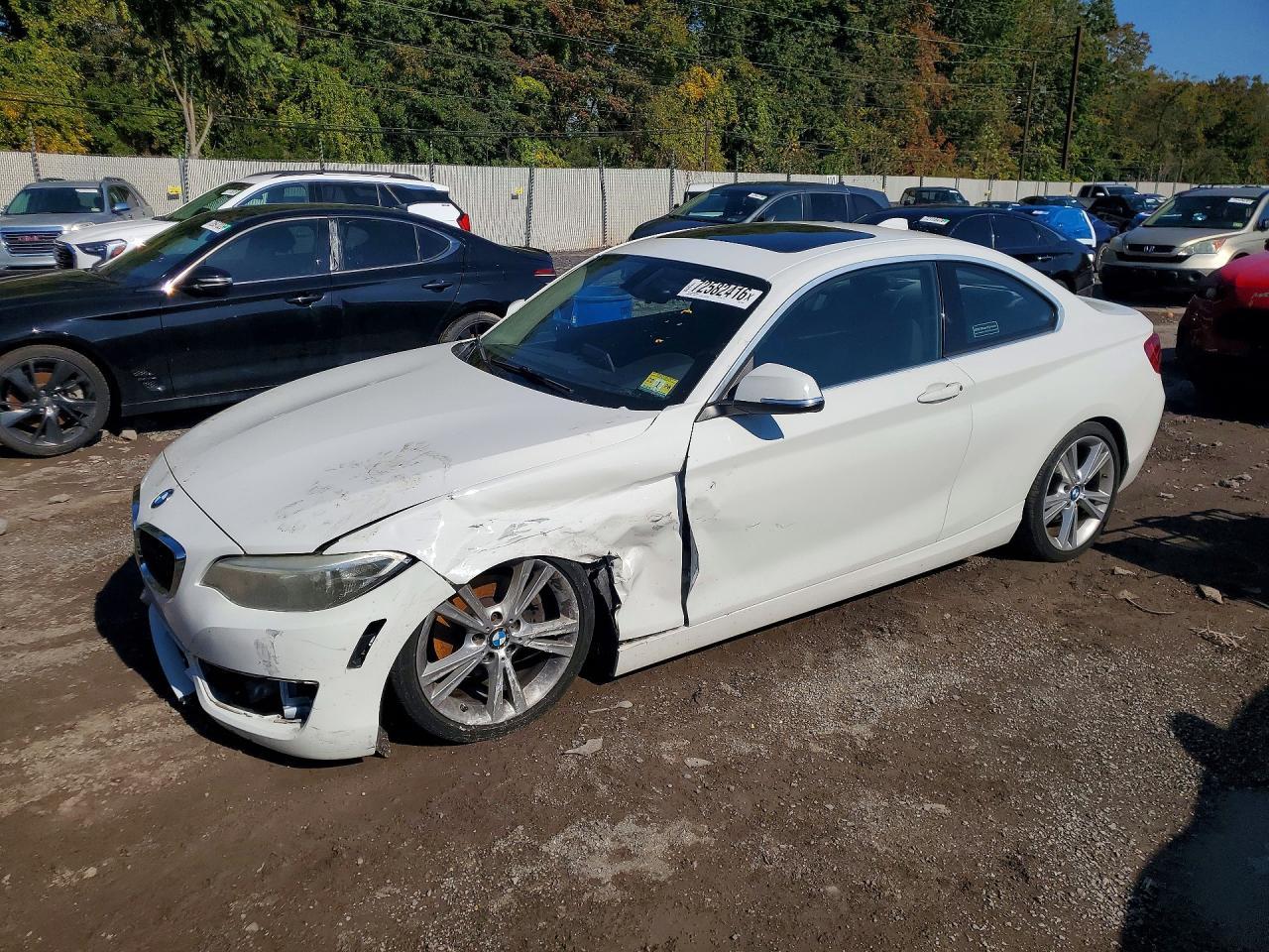 2015 BMW Seria 2 Coupe 228i - zdjęcie główne