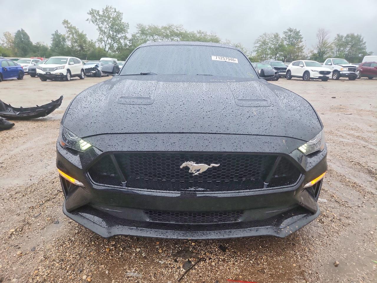 2019 Ford Mustang Gt - zdjęcie 5