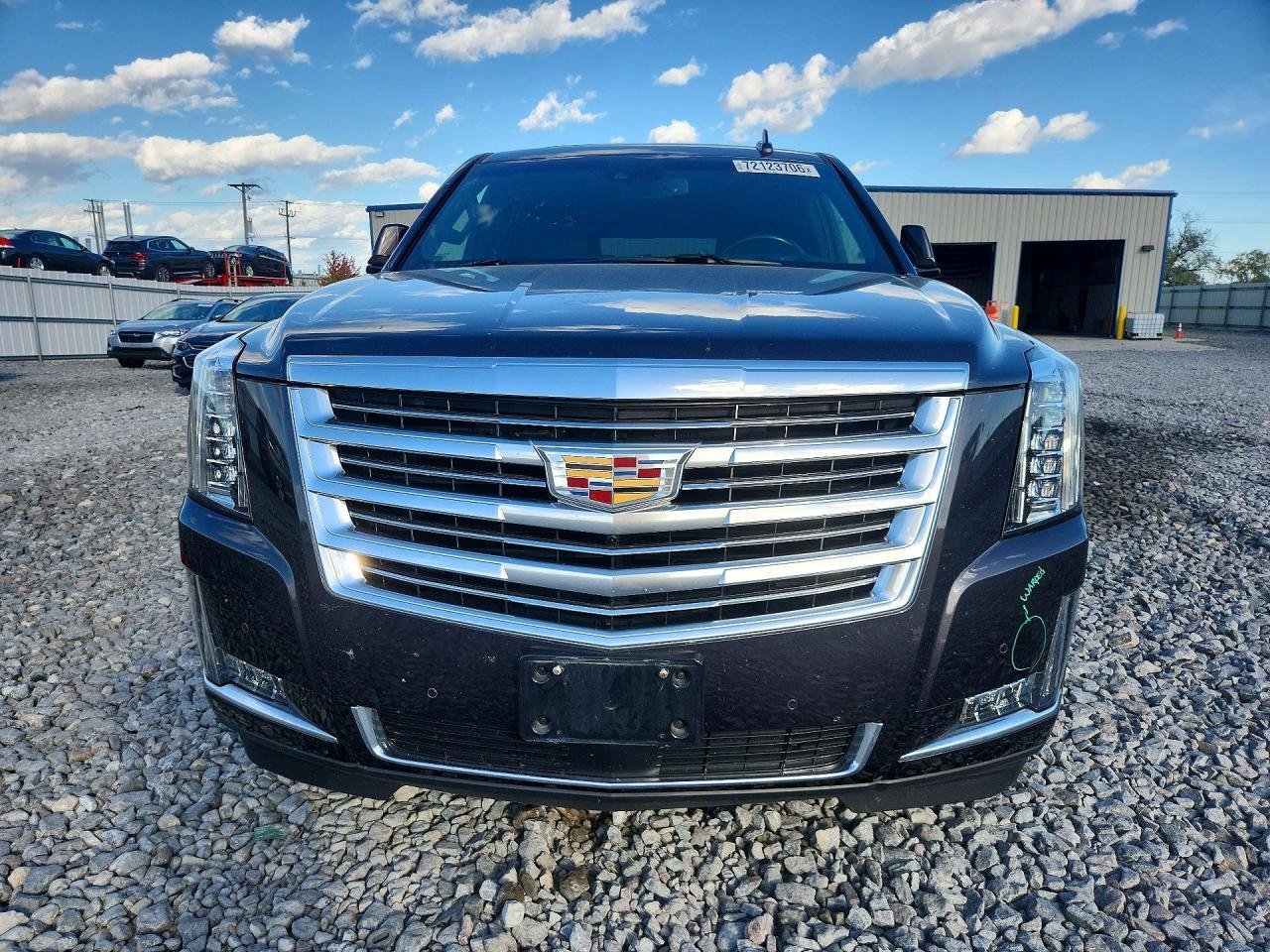 2016 Cadillac Escalade Esv Platinum - zdjęcie 5