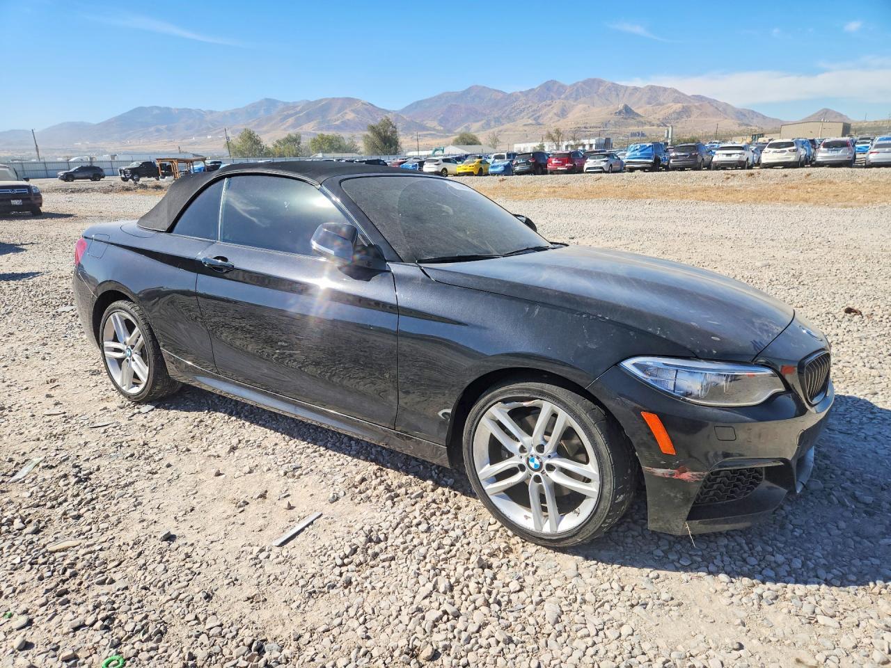 2016 BMW 228I xDrive Gc - zdjęcie 4