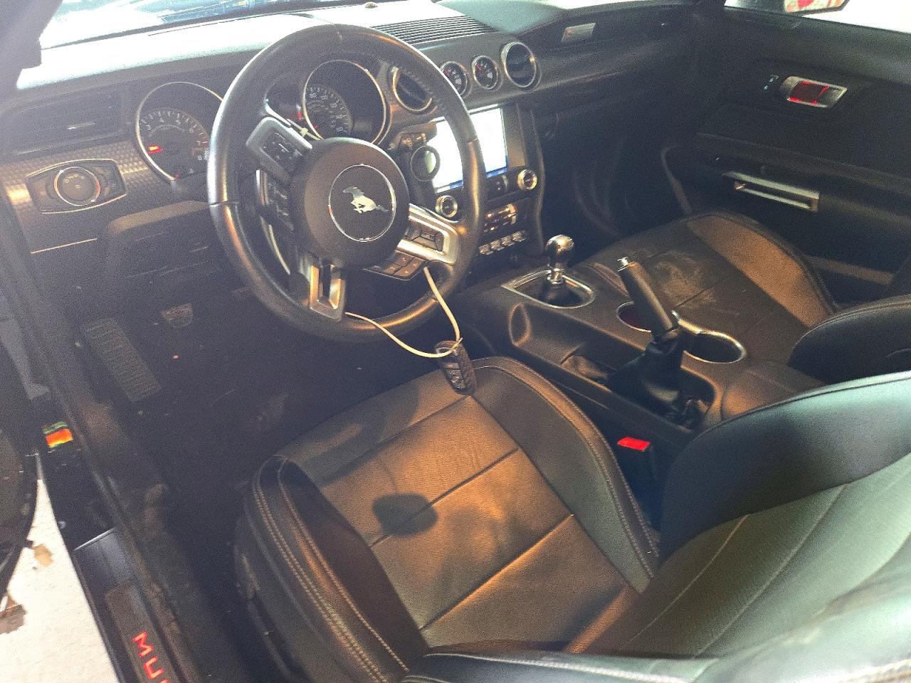 2019 Ford Mustang Gt - zdjęcie 8