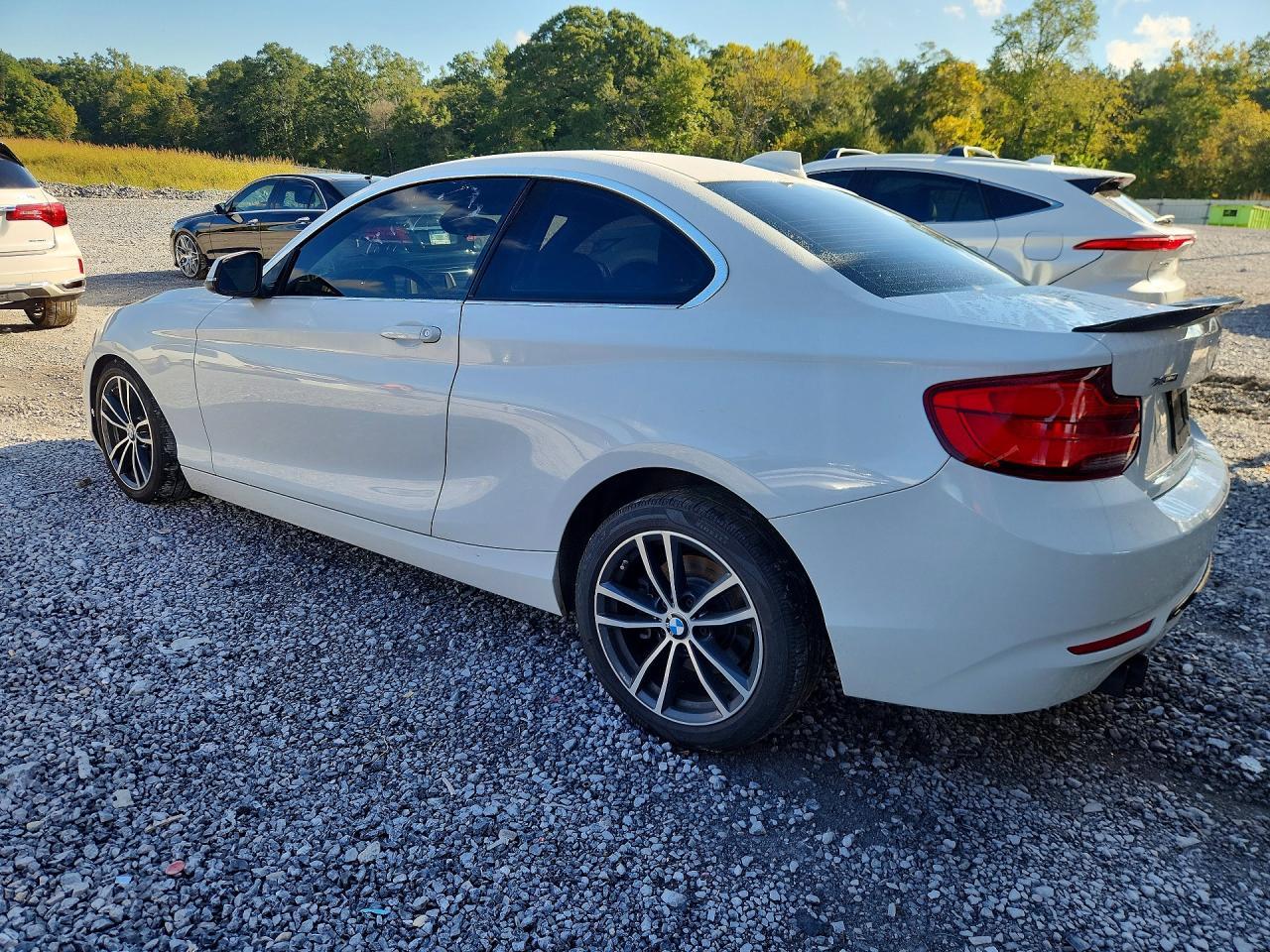 2018 BMW Seria 2 Coupe 230i - zdjęcie 2