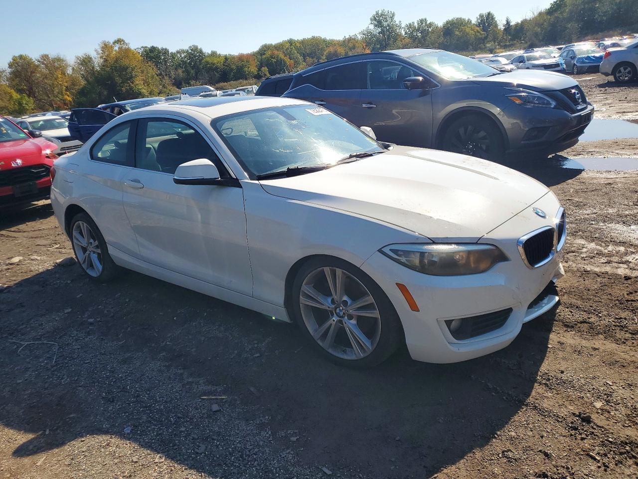 2015 BMW Seria 2 Coupe 228i - zdjęcie 4