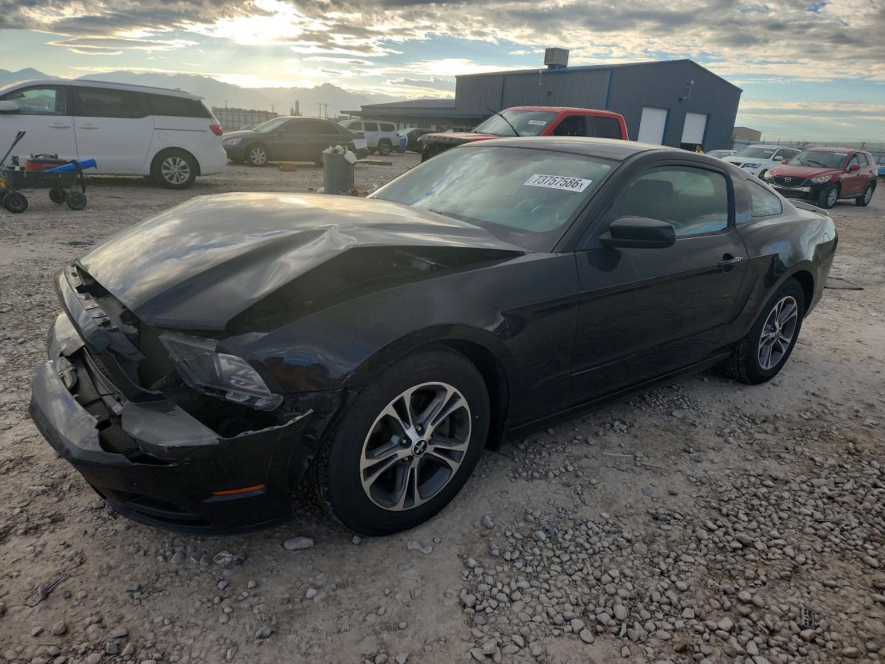 2014 Ford Mustang - zdjęcie główne