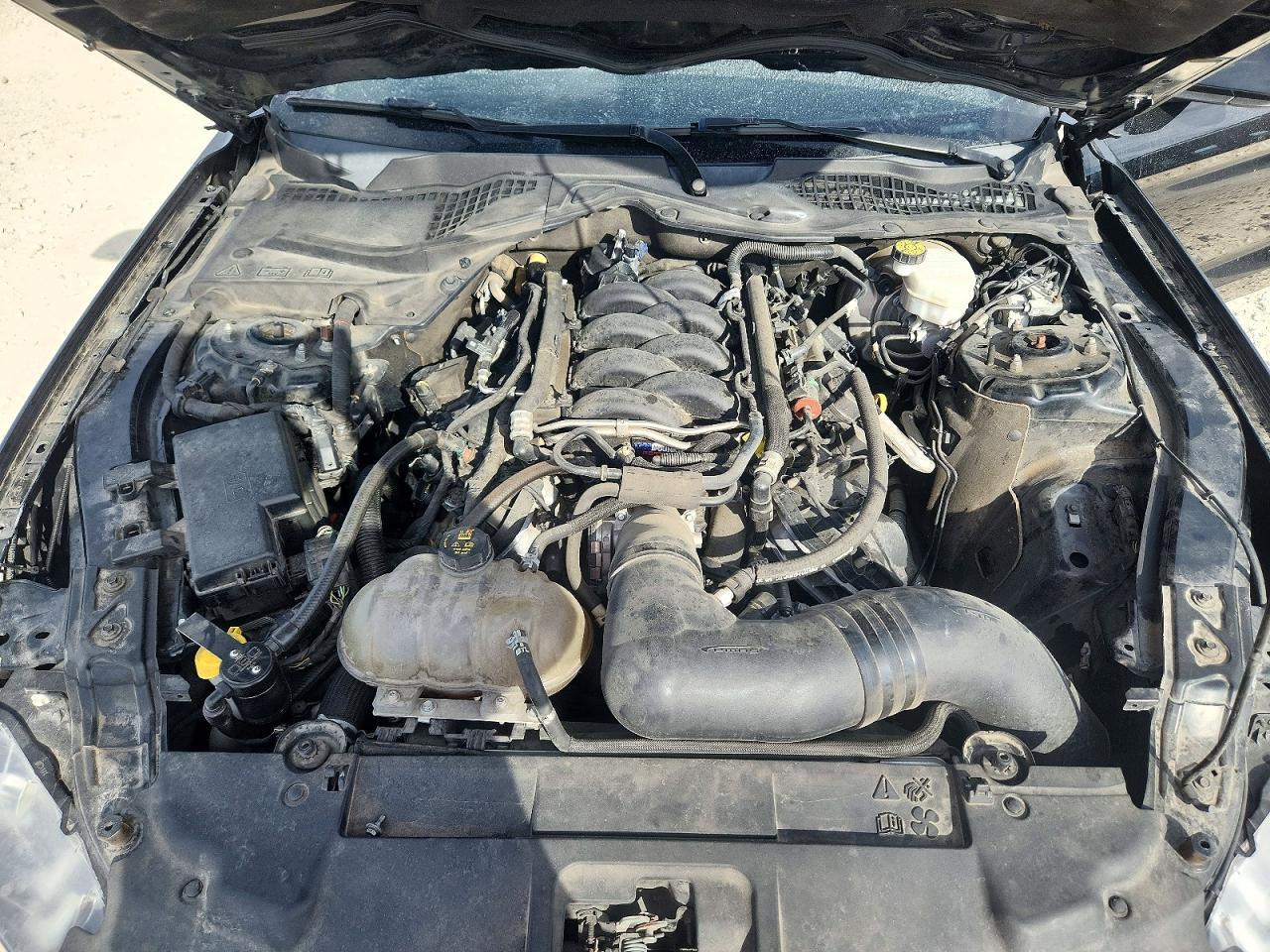 2019 Ford Mustang Gt - zdjęcie 11