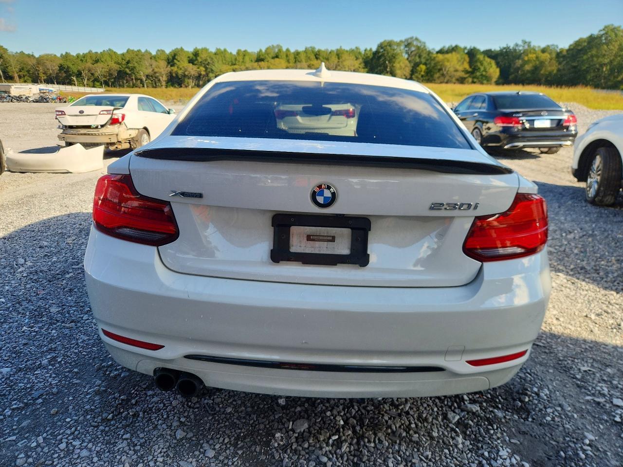 2018 BMW Seria 2 Coupe 230i - zdjęcie 6