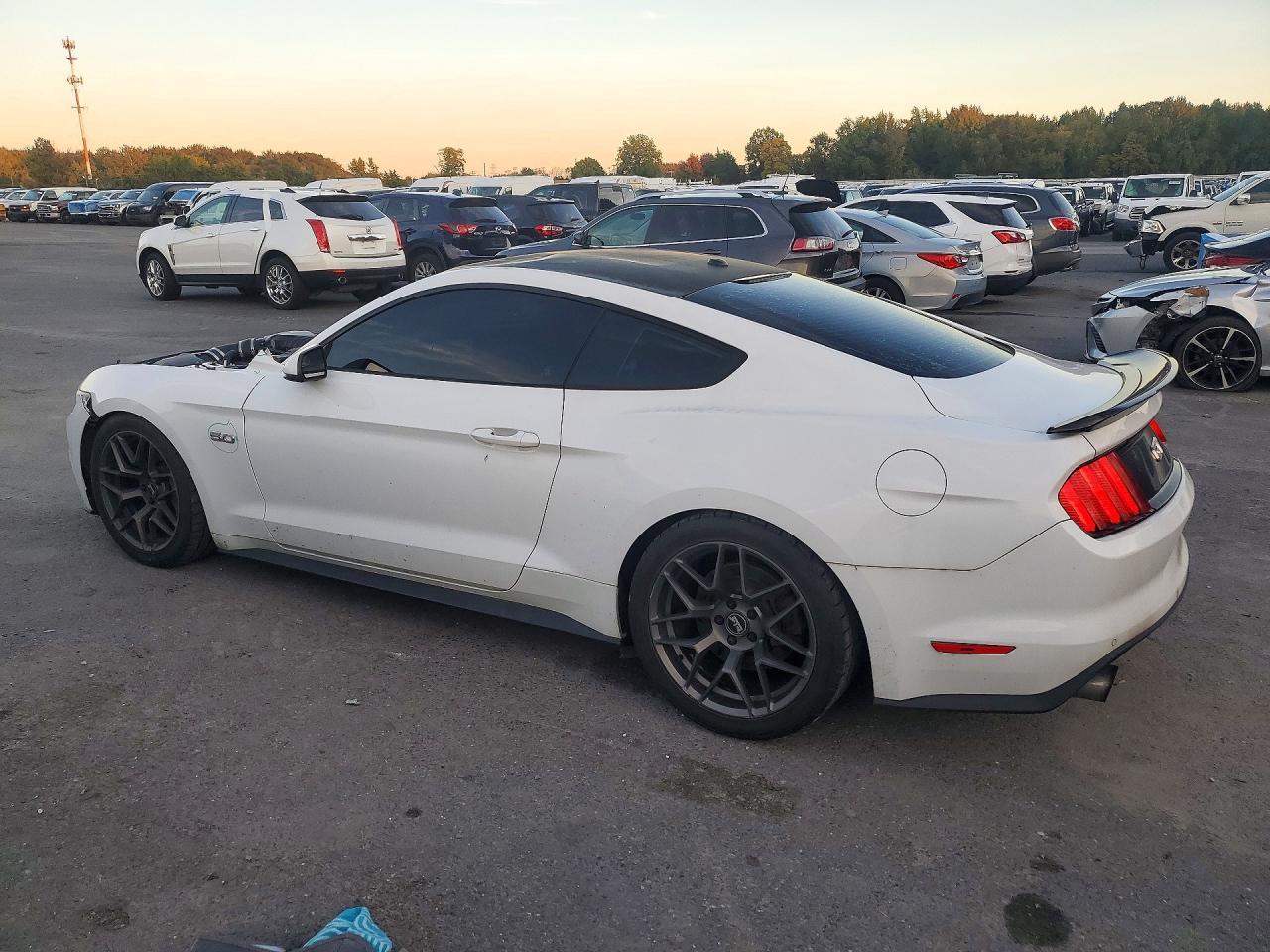 2016 Ford Mustang Gt - zdjęcie 2