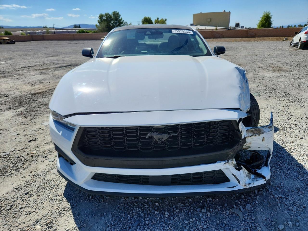 2024 Ford Mustang - zdjęcie 5