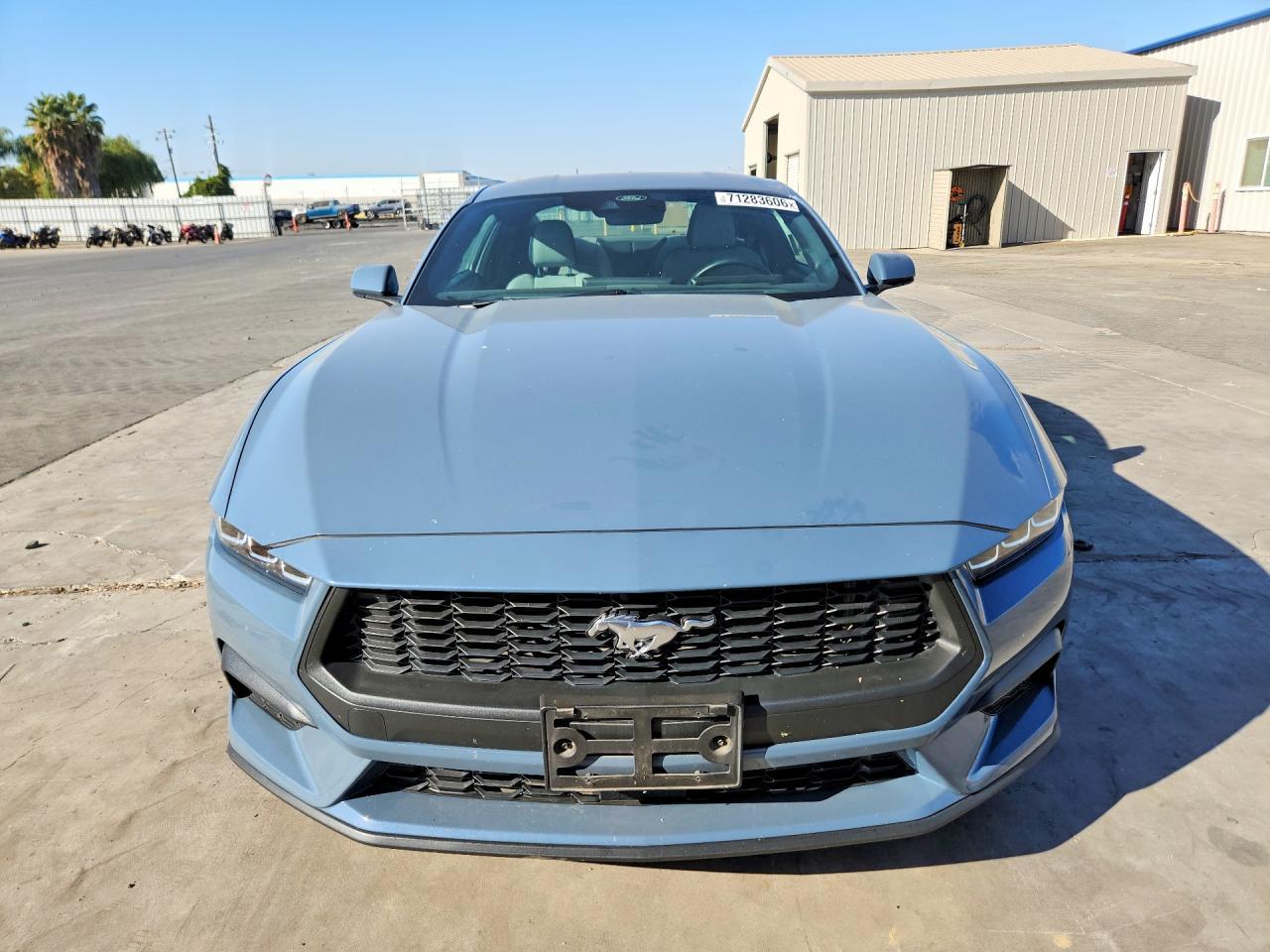 2024 Ford Mustang - zdjęcie 5