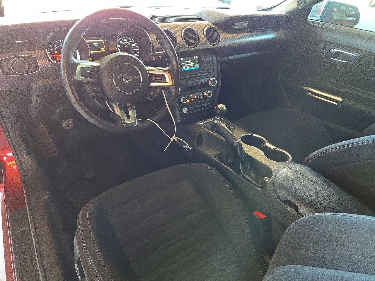 2015 Ford Mustang Ecoboost - zdjęcie 8