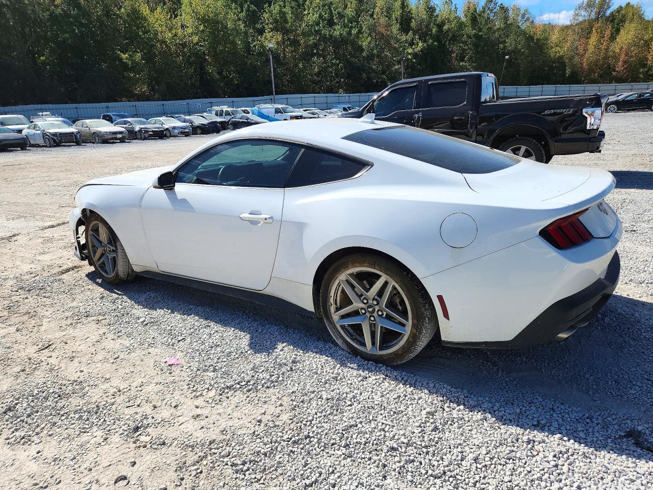 2024 Ford Mustang - zdjęcie 2