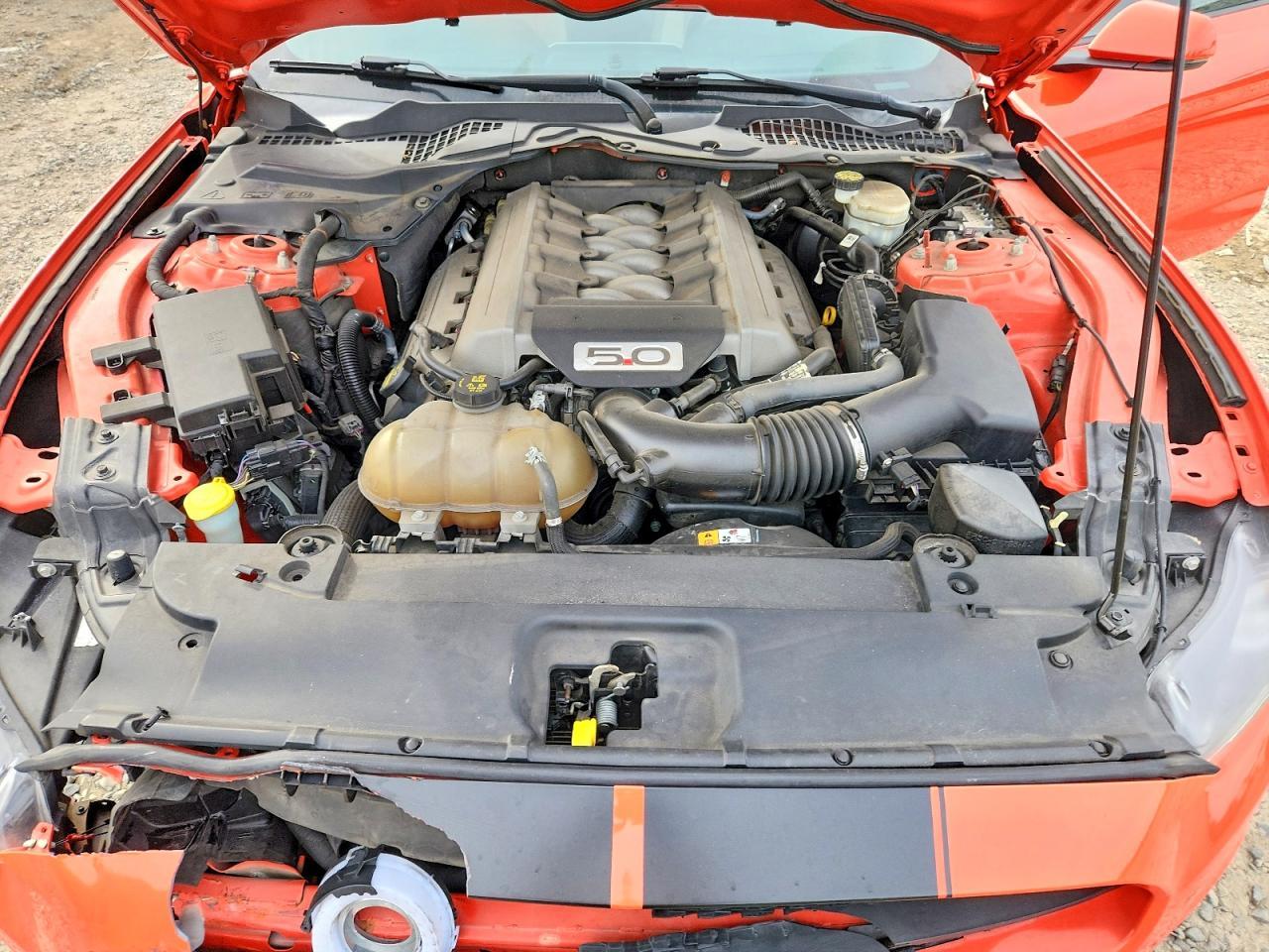 2015 Ford Mustang Gt - zdjęcie 11