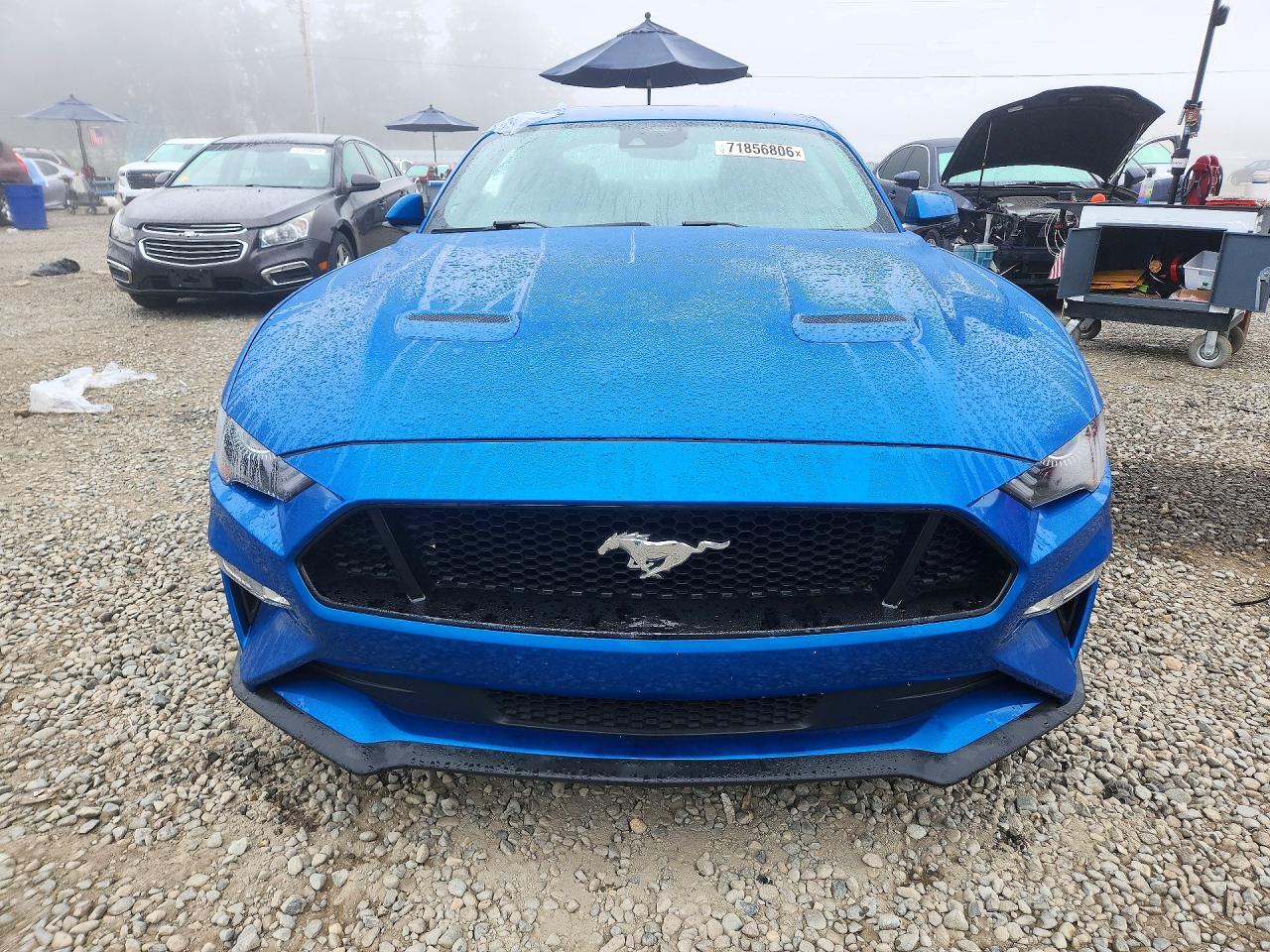 2021 Ford Mustang Gt - zdjęcie 5