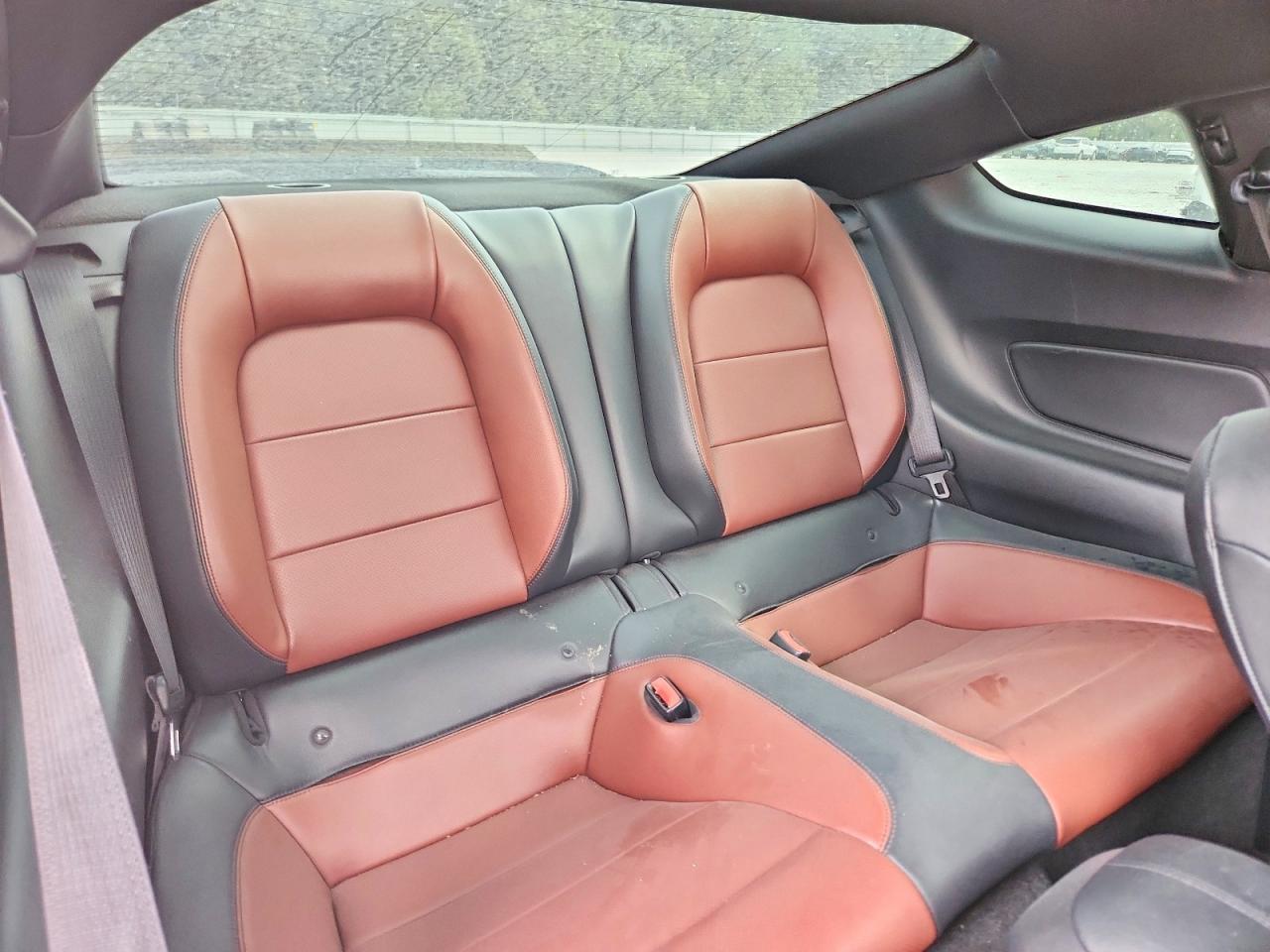 2015 Ford Mustang Gt - zdjęcie 10