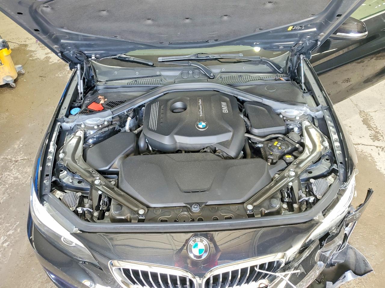 2018 BMW Seria 2 Cabrio 230i - zdjęcie 11