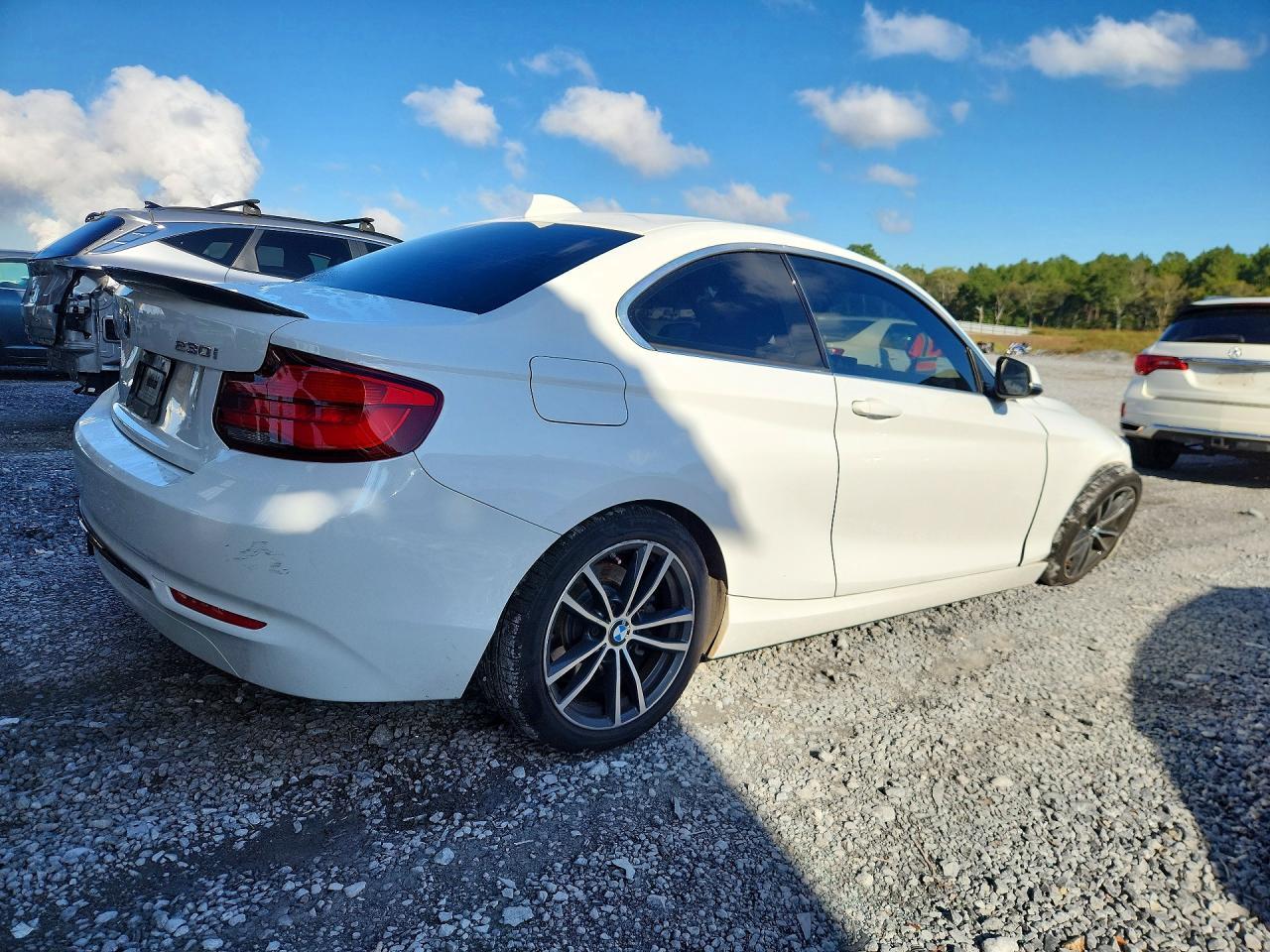 2018 BMW Seria 2 Coupe 230i - zdjęcie 3