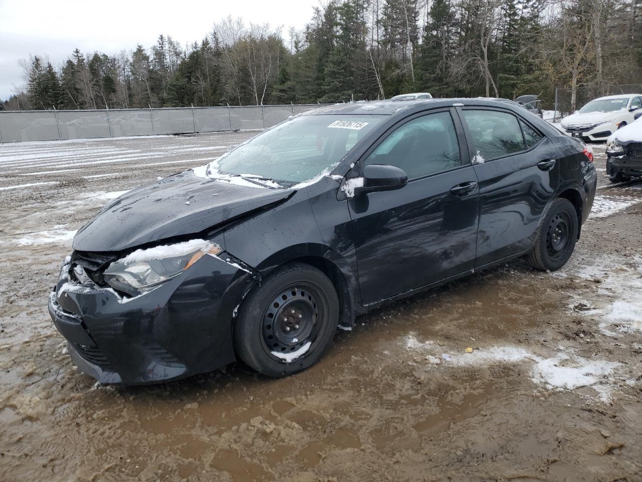 2014 Toyota Corolla - zdjęcie główne