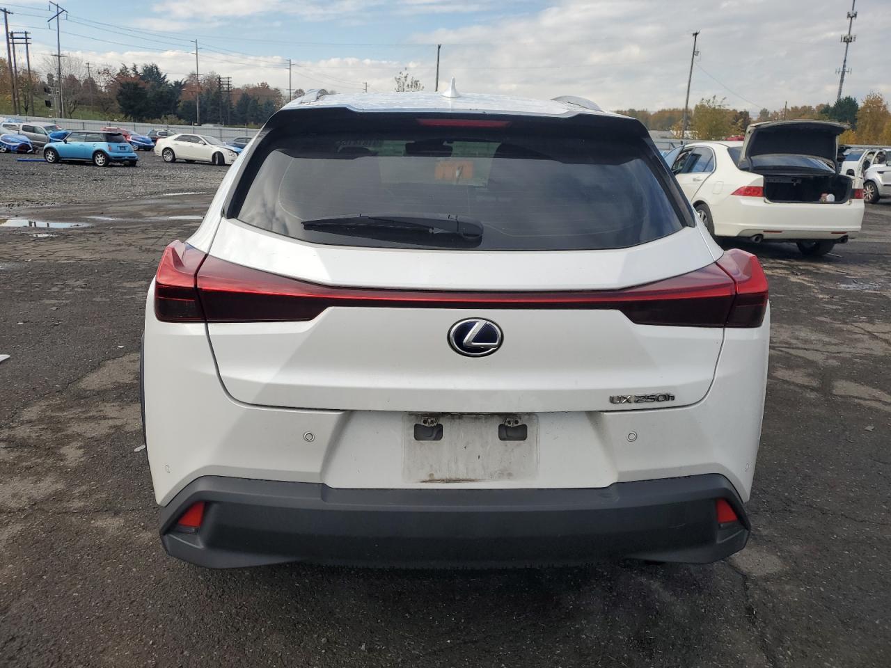 2019 Lexus Ux 250H - zdjęcie 6