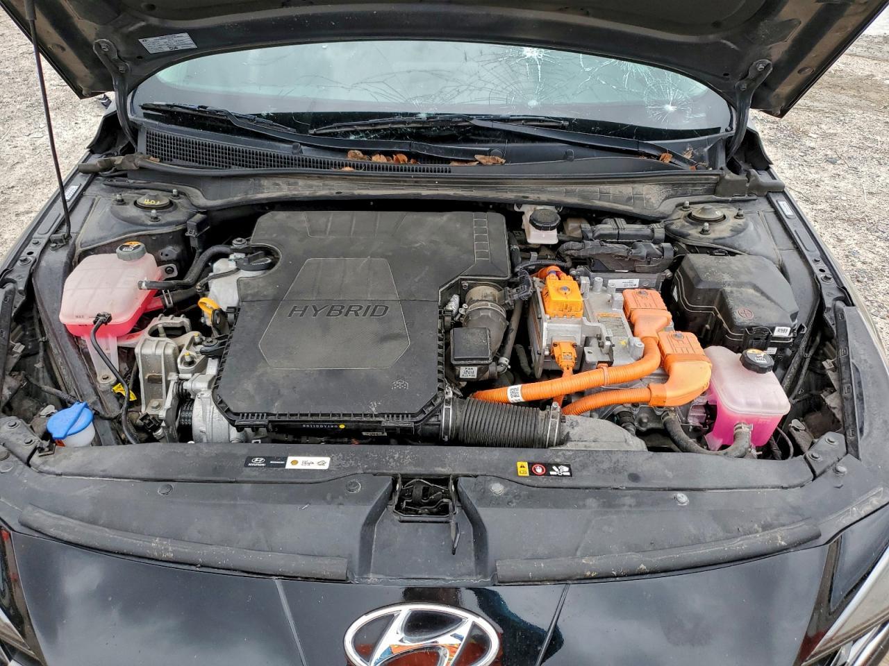 2023 Hyundai Elantra - zdjęcie 11