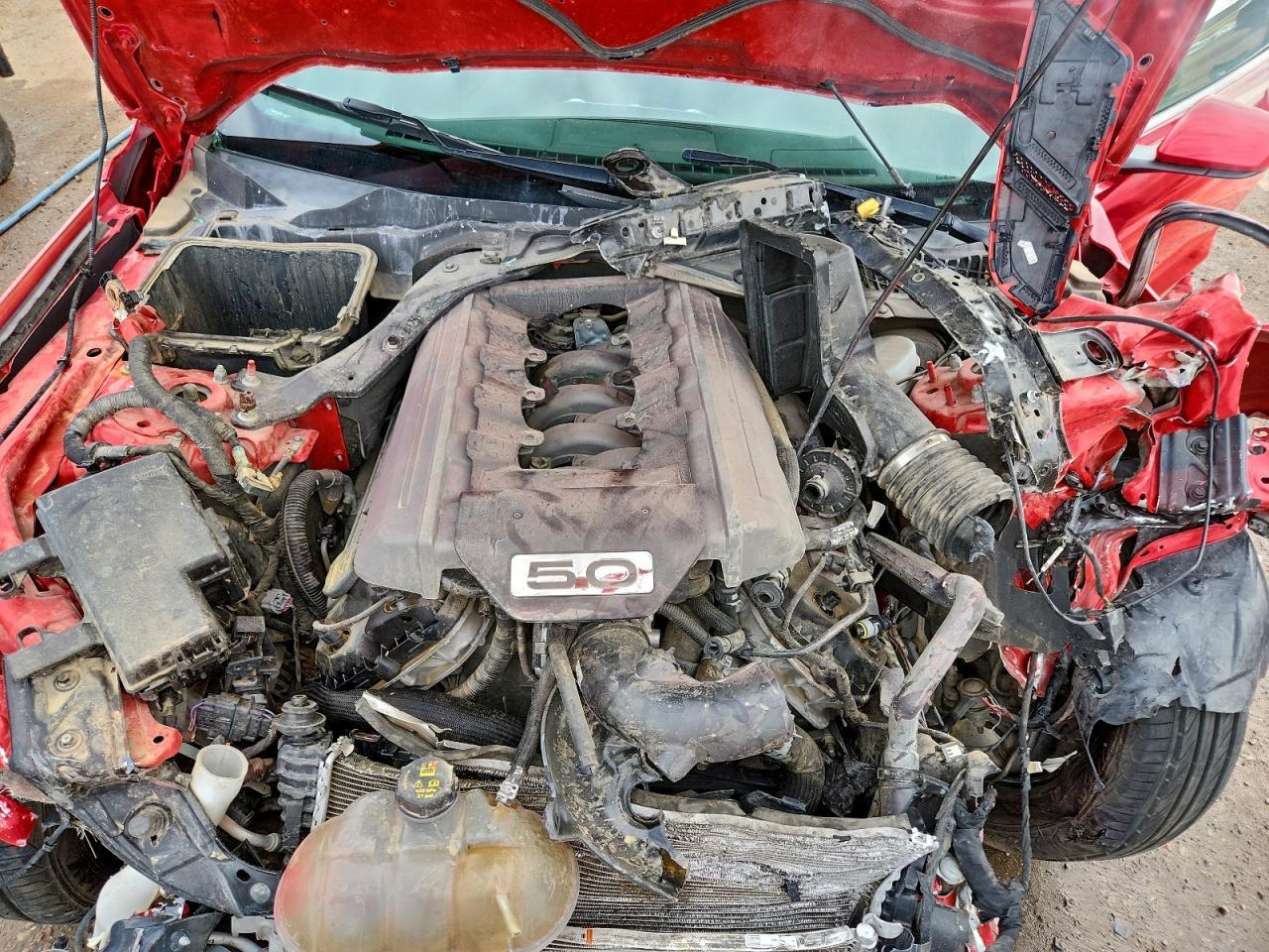 2015 Ford Mustang Gt - zdjęcie 11