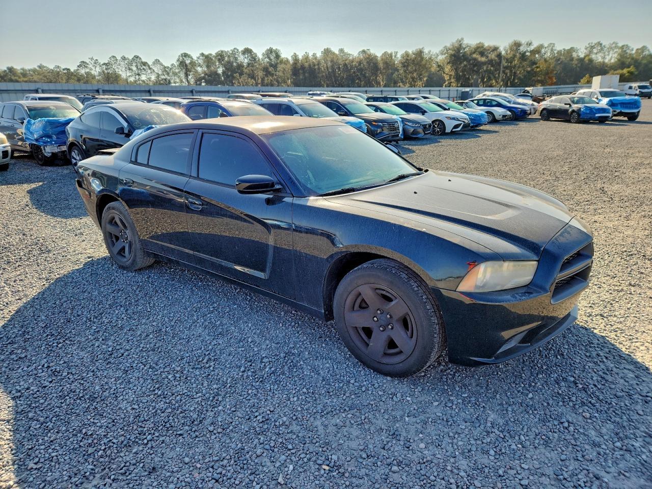 2014 Dodge Charger - zdjęcie 4