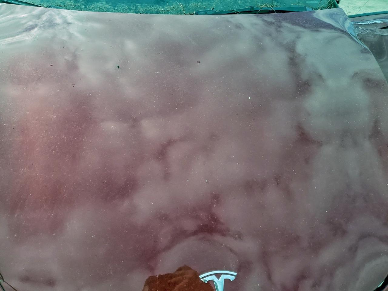 2024 Tesla Model Y - zdjęcie 11