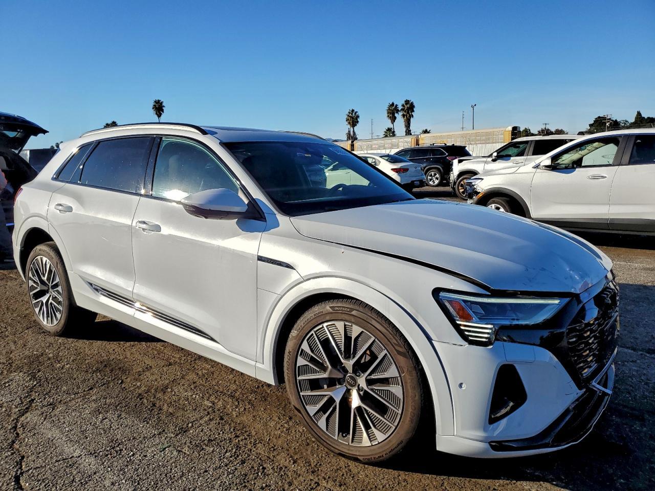 2024 Audi Q8 E-Tron Prestige - zdjęcie 4