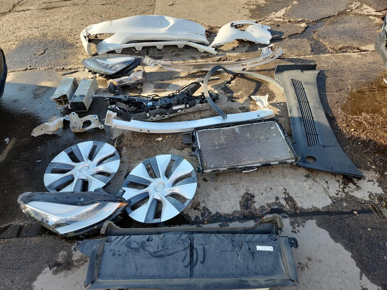 2023 Tesla Model Y - zdjęcie 13