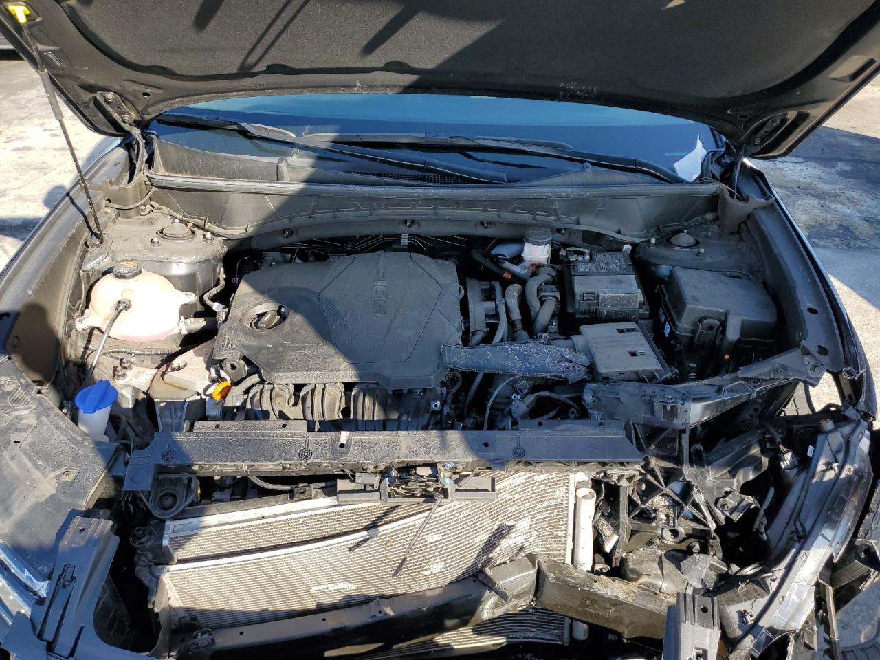 2023 Hyundai Stellar - zdjęcie 11