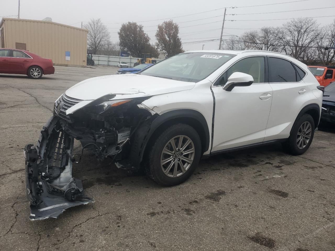 2020 Lexus NX - zdjęcie główne