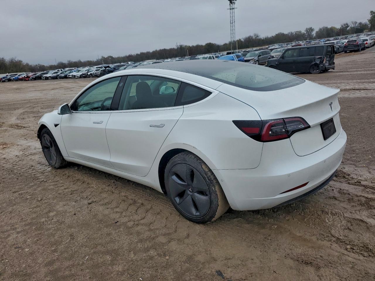 2019 Tesla Model 3 - zdjęcie 2