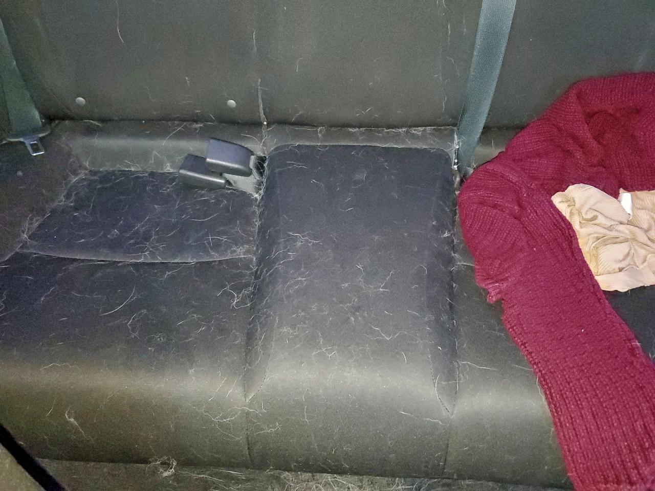 2019 Honda Civic Lx - zdjęcie 10