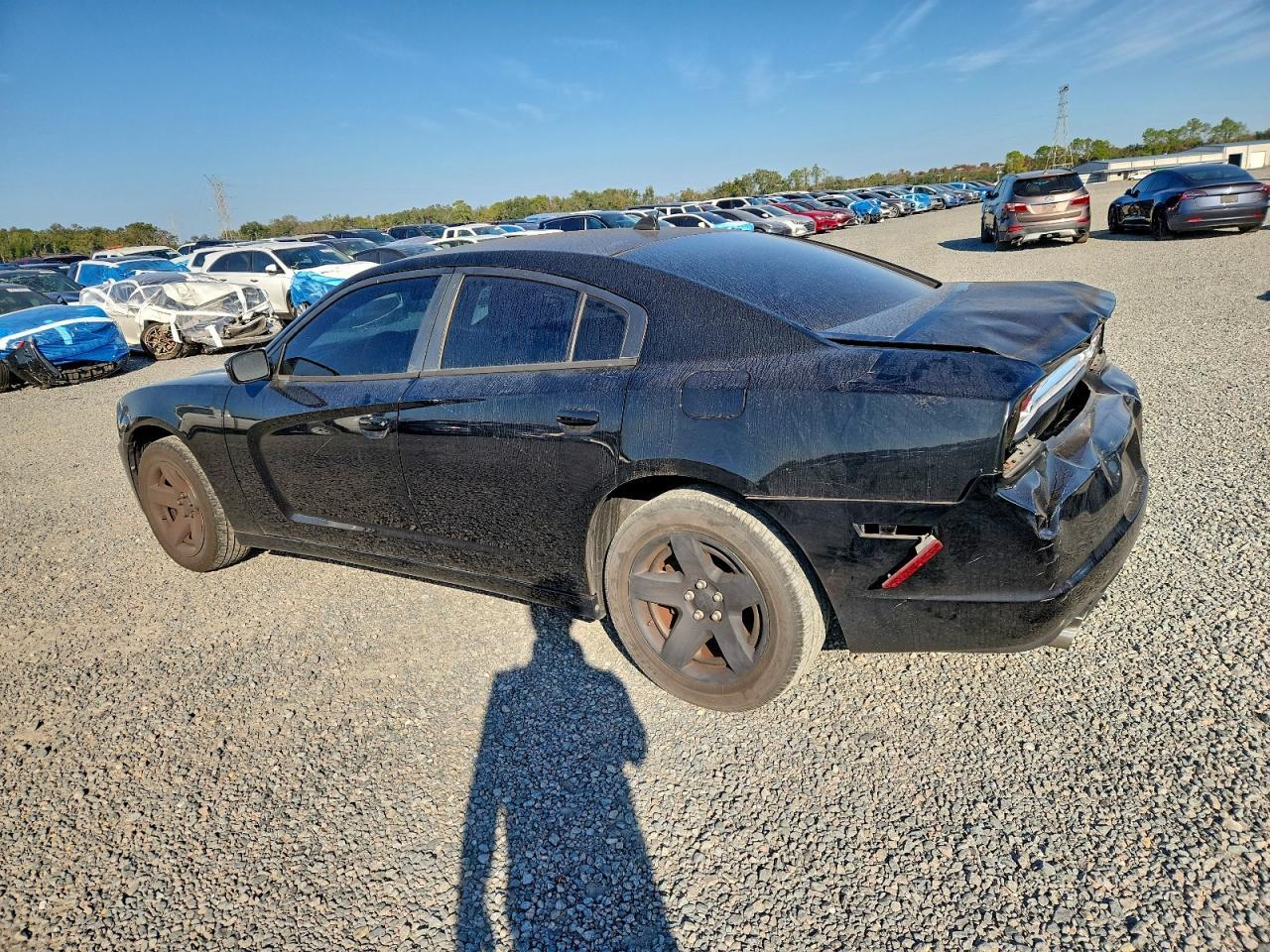 2014 Dodge Charger - zdjęcie 2
