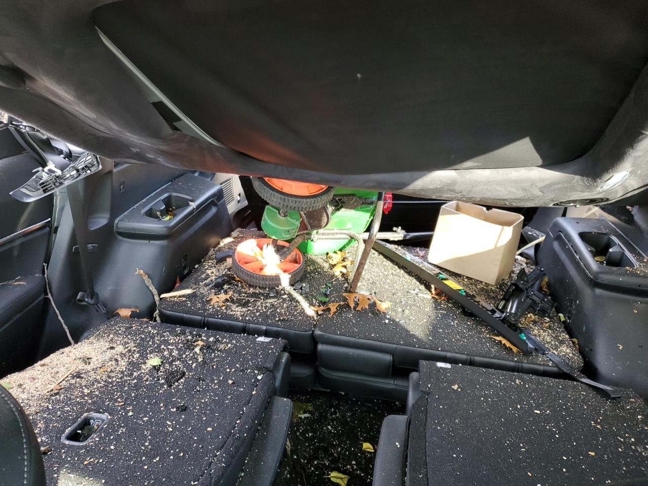 2024 Kia Telluride - zdjęcie 10